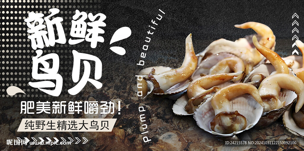 鸟贝 海鲜banner