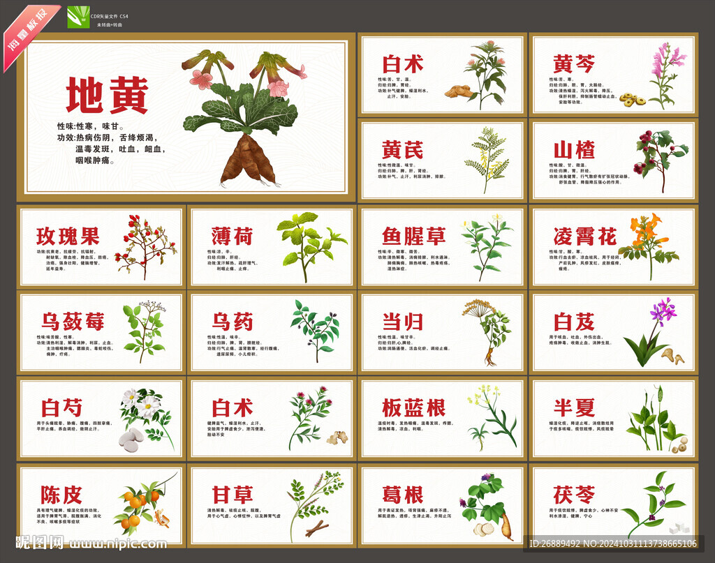 中草药海报