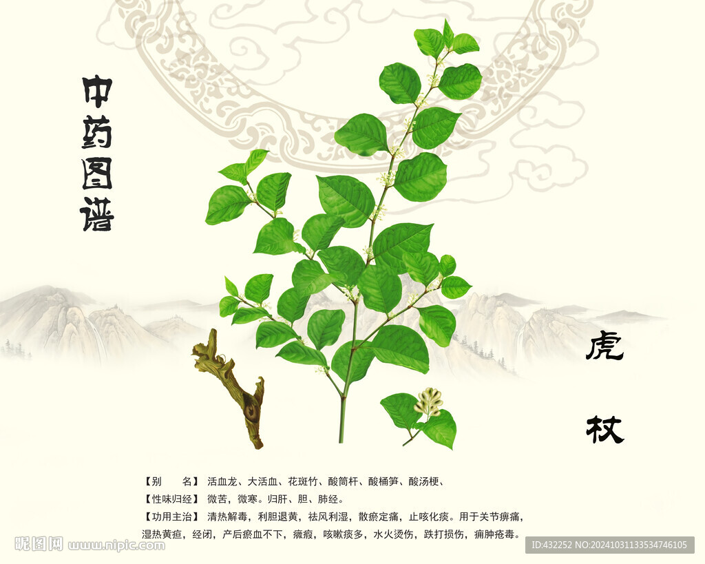 虎杖中药虎杖