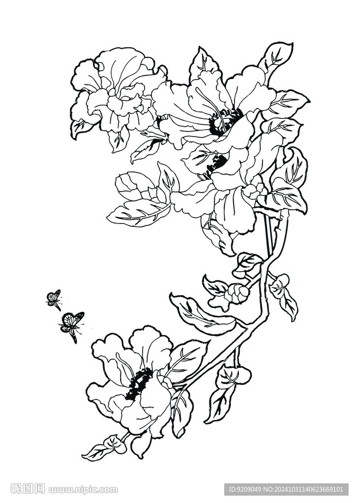 牡丹花线稿