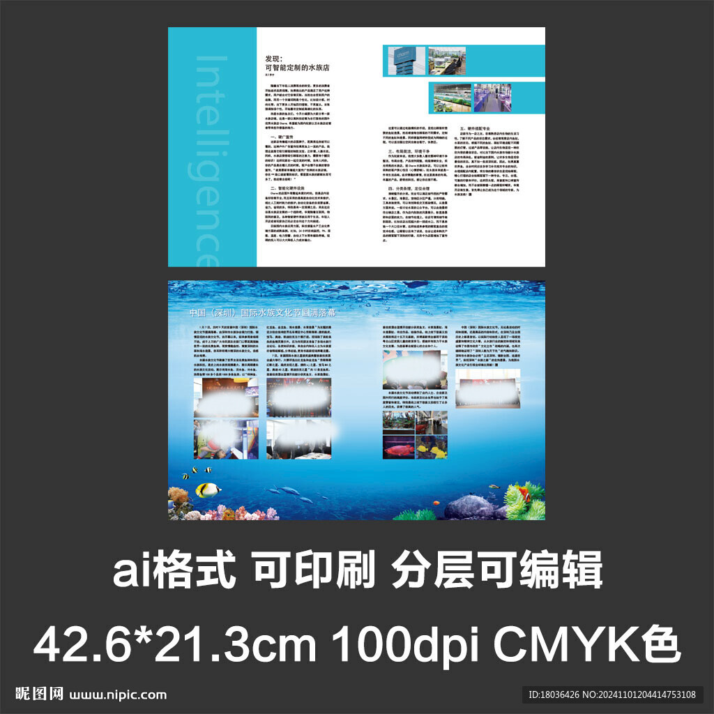 画册型录产品简介宣传册排版设计