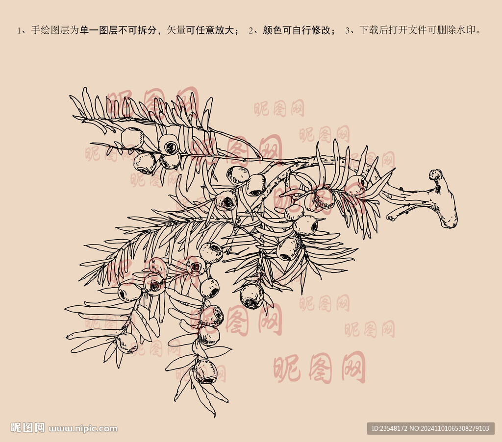 红豆杉