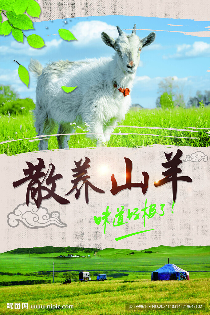 散养山羊