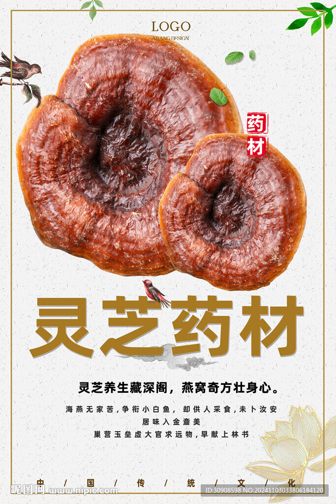 灵芝