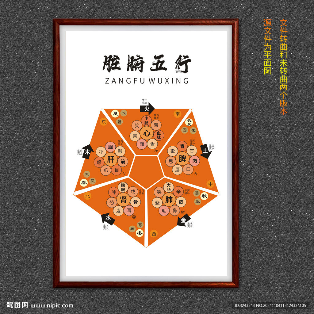中医五行图