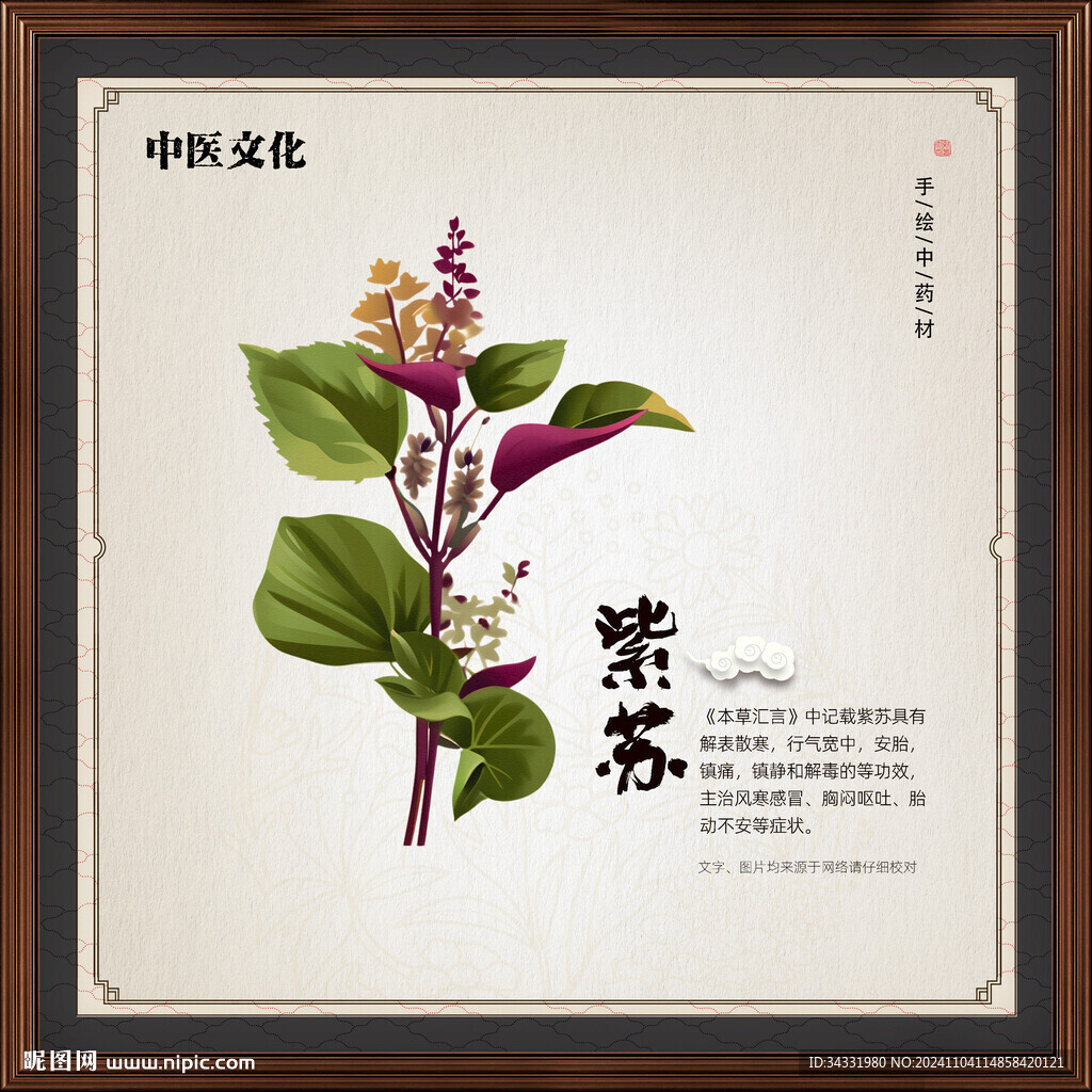 紫苏