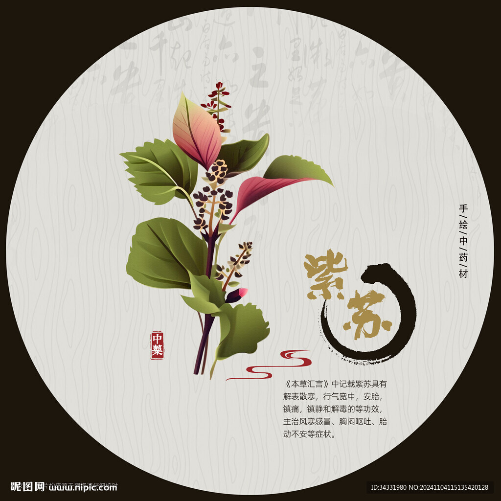 紫苏
