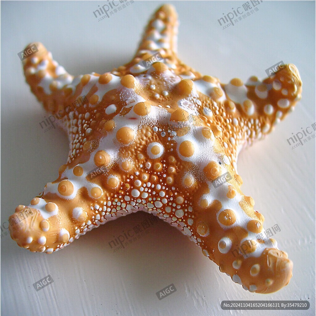 海洋工艺品