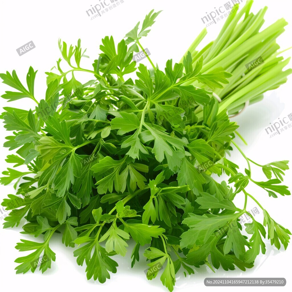 芹菜素材下载