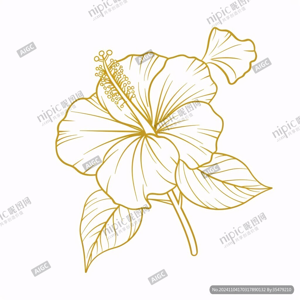 手绘扶桑花