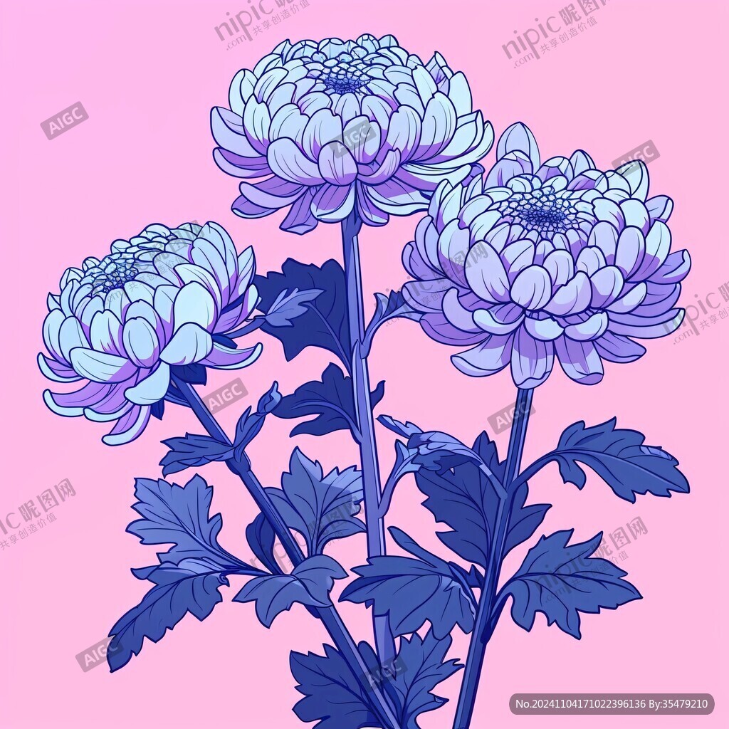 手绘菊花