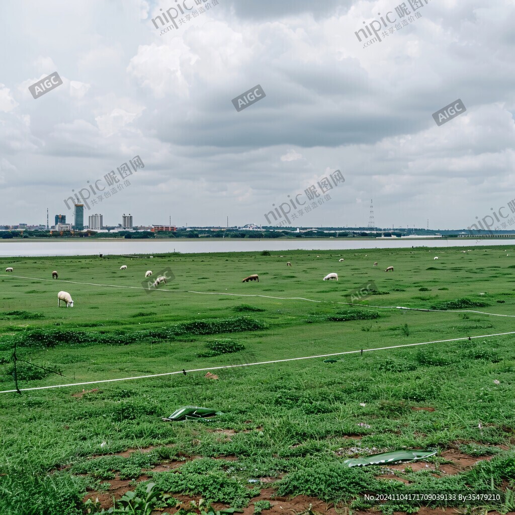 鄱湖湿地
