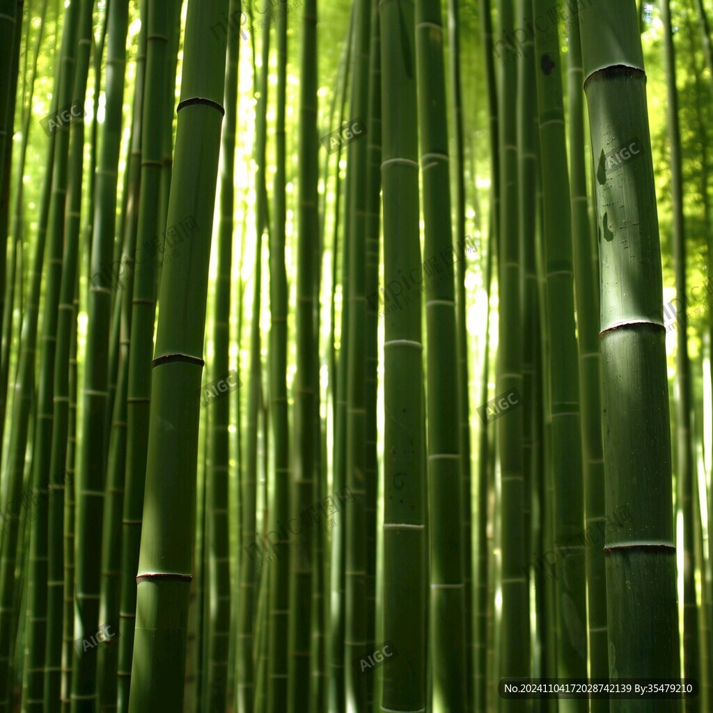 竹子京都