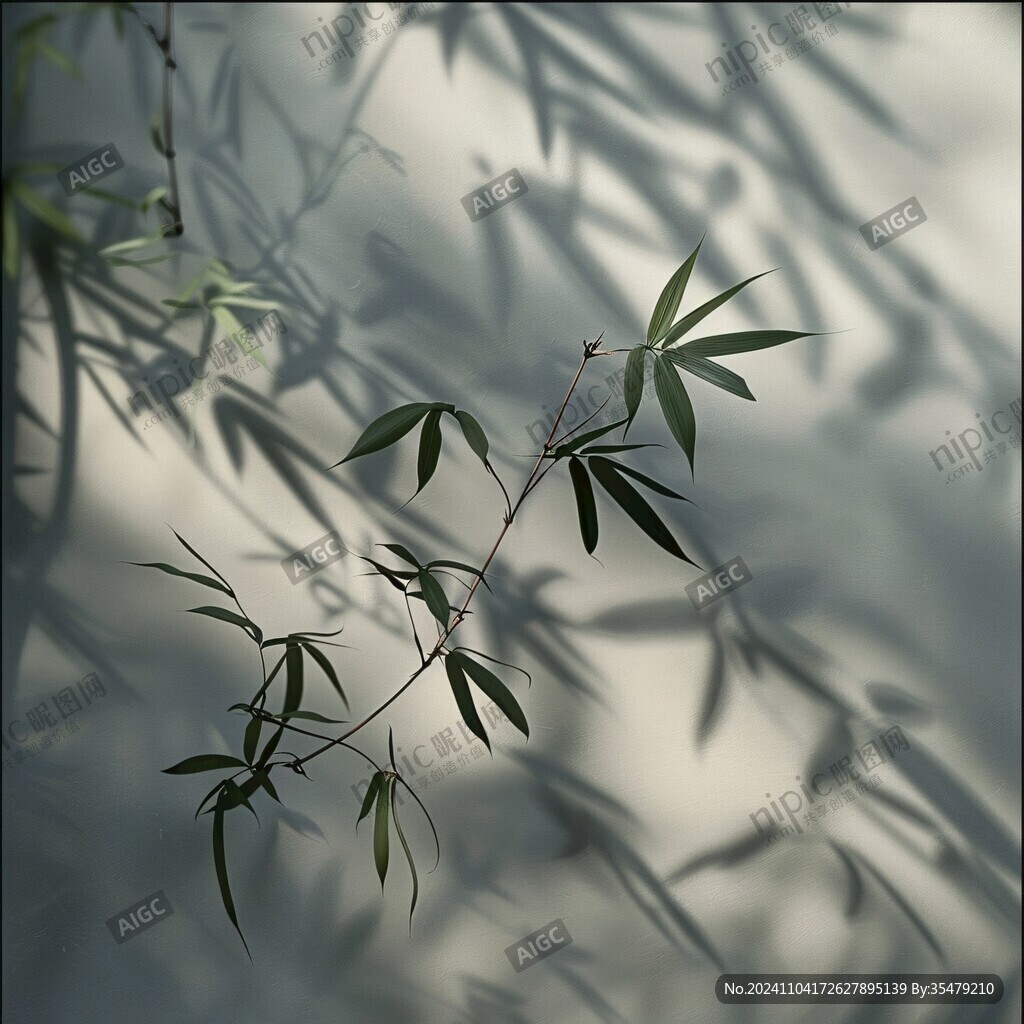 竹子枝叶光影