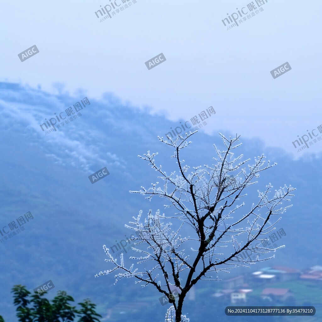 流溪香雪