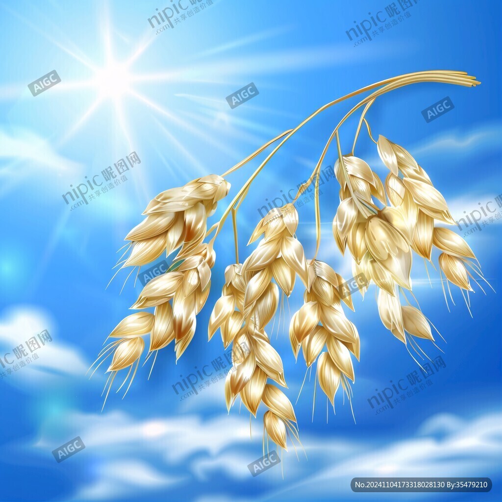 麦粒插画