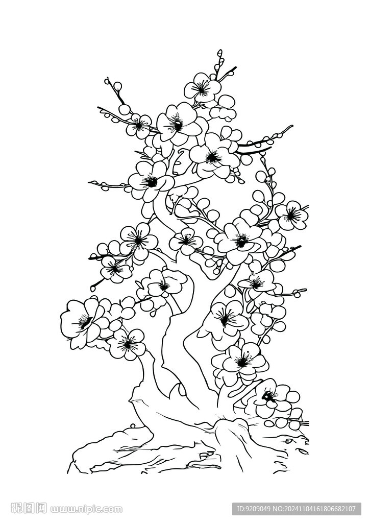 梅花线稿