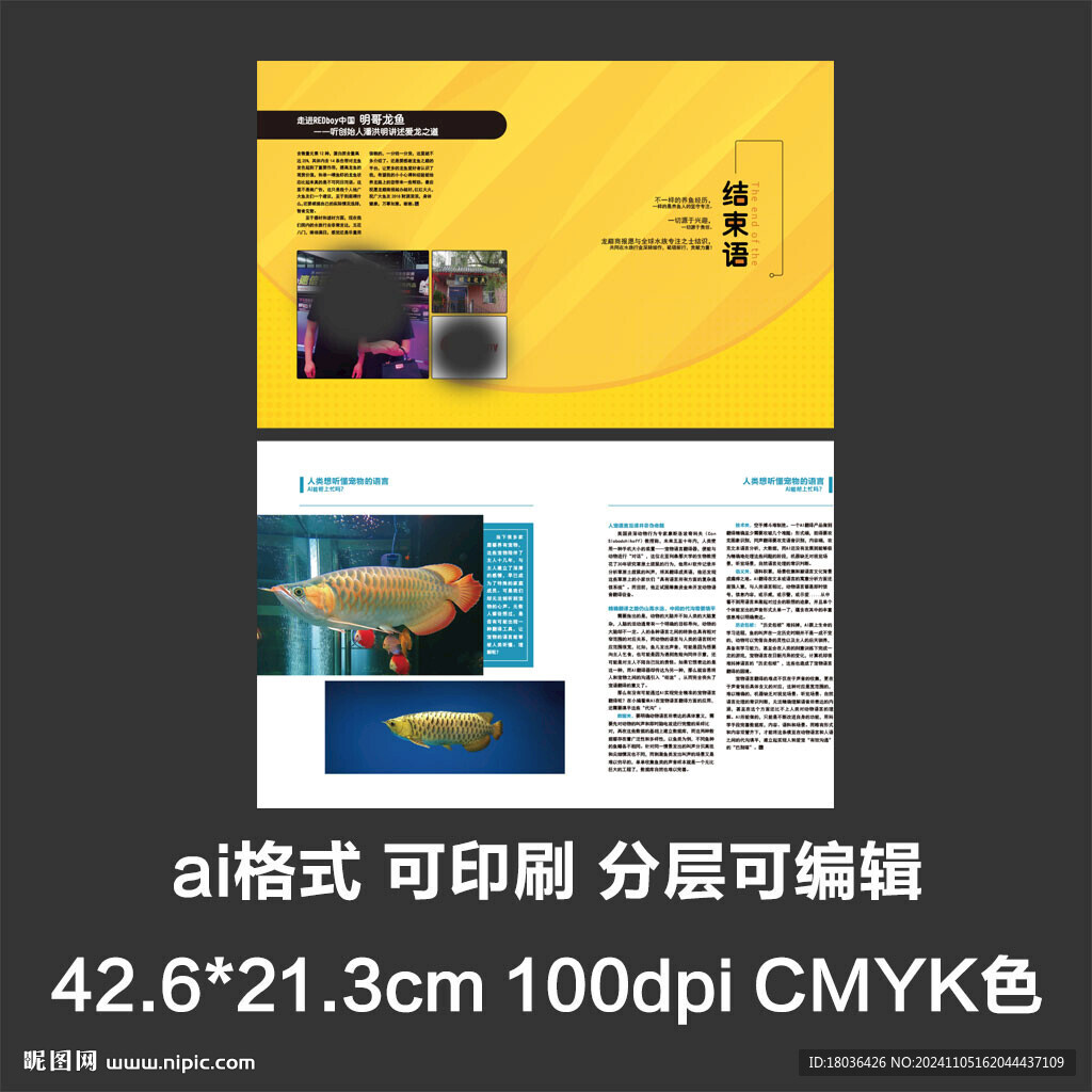 画册型录产品简介宣传册排版设计