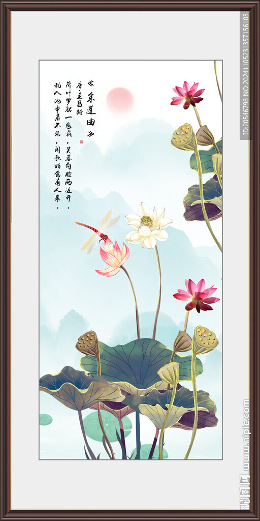 荷花