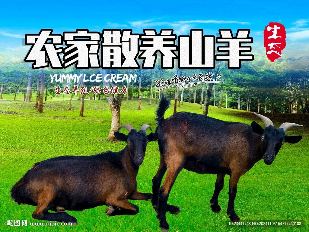 农家散养山羊