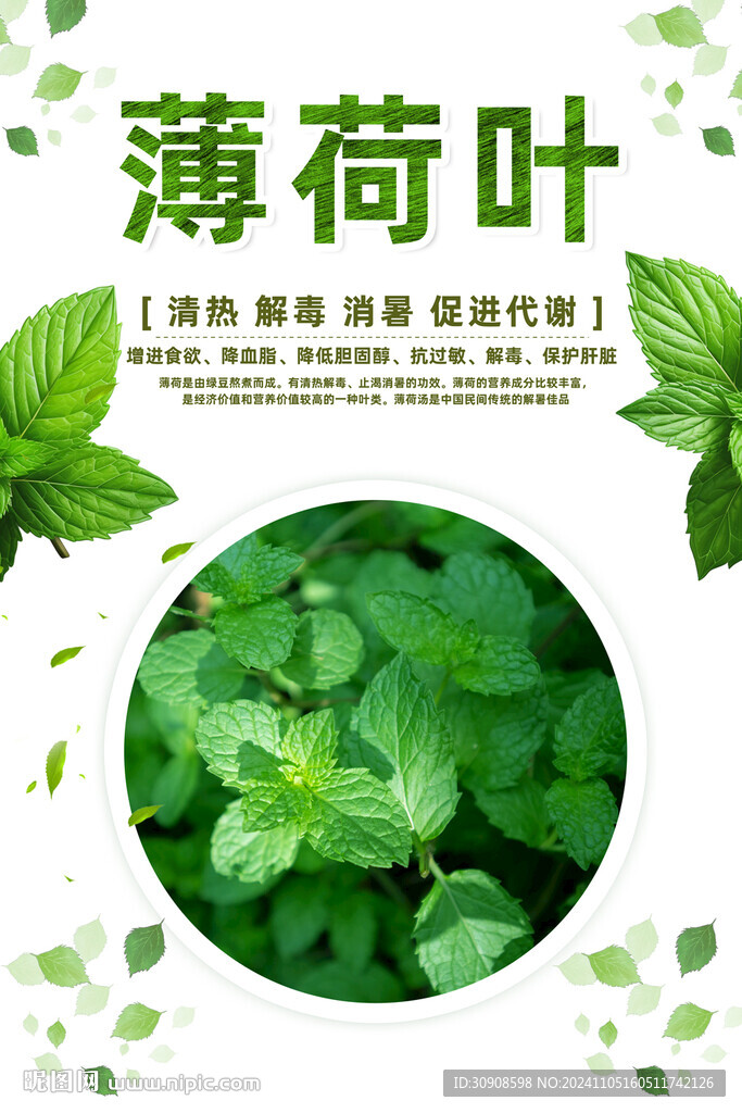 薄荷