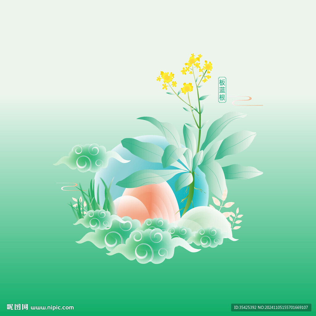 新中式风药材板蓝根