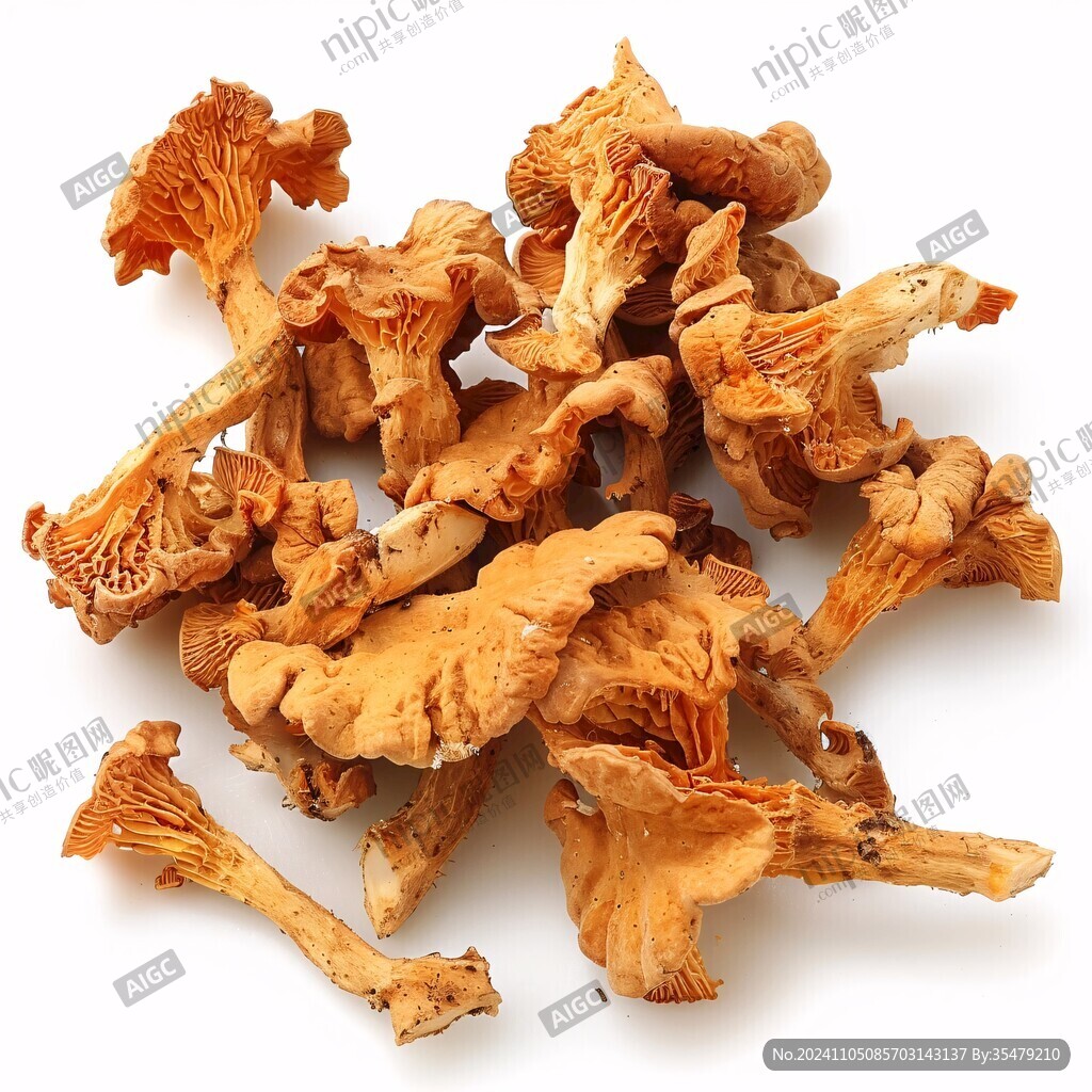 干滑子菇详情