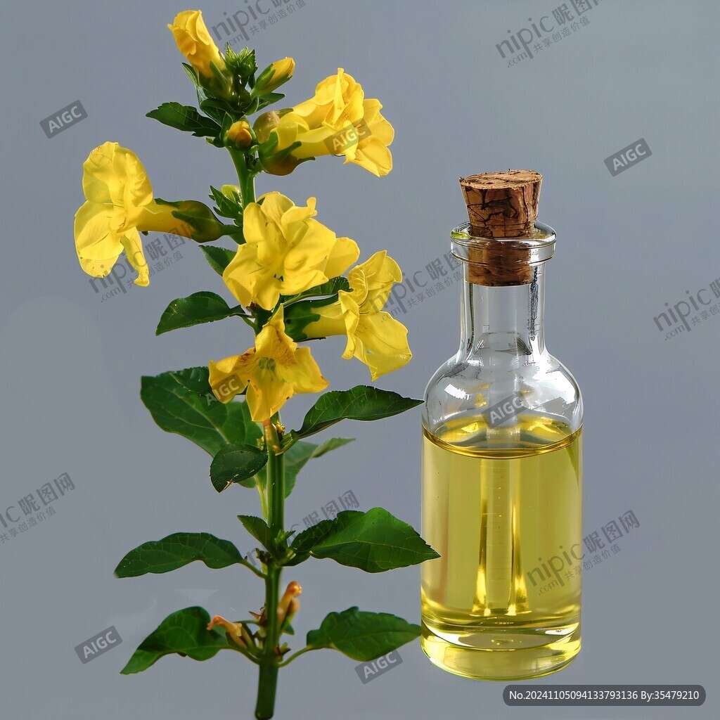 精炼棉籽油