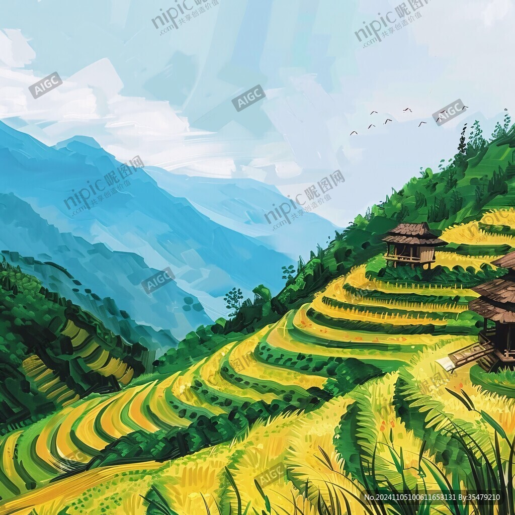 梯田水稻插画