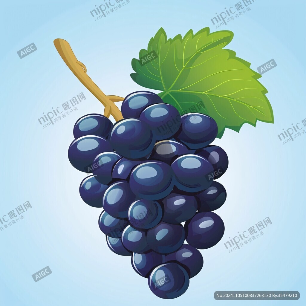 黑加仑葡萄干插画