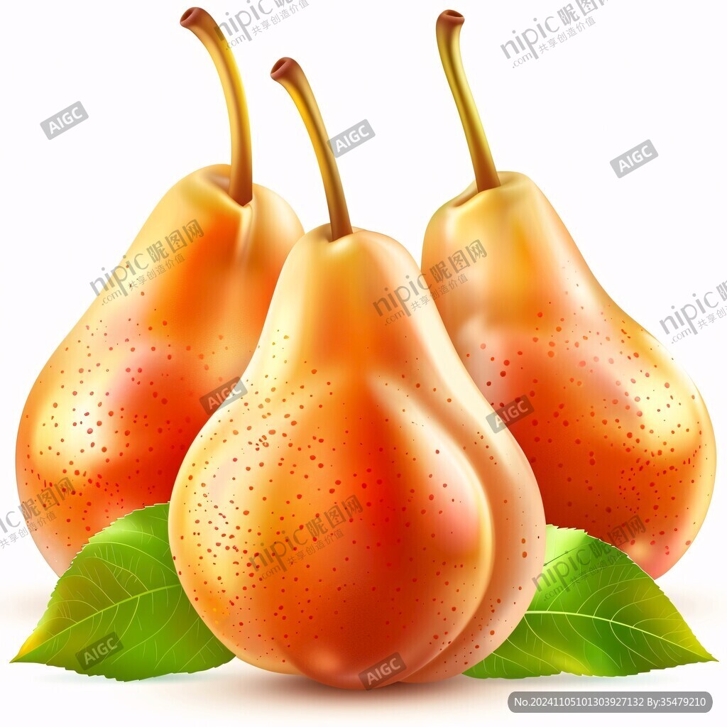 黄金梨插画