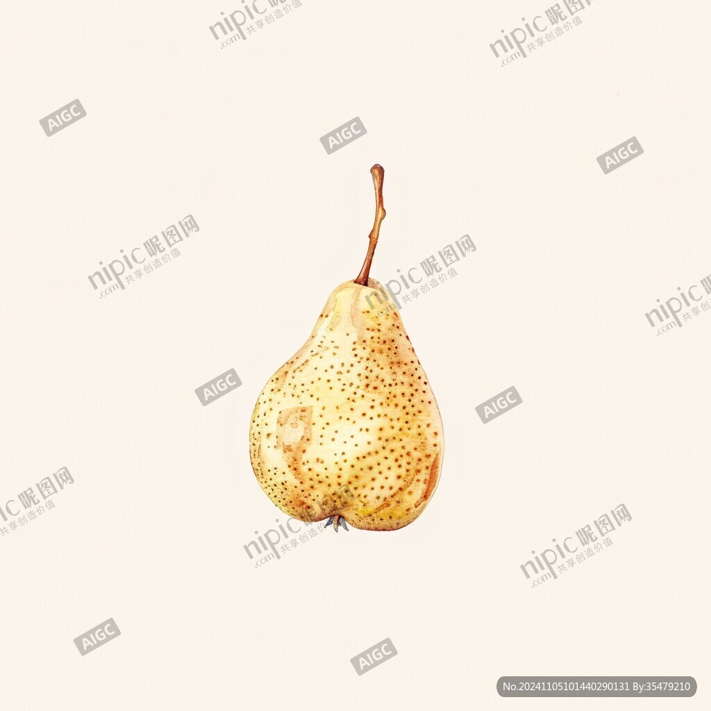 贡梨插画
