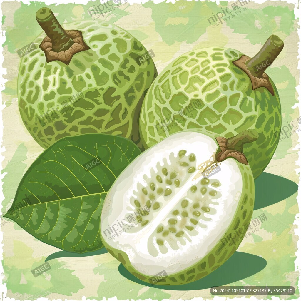 白心番石榴插画