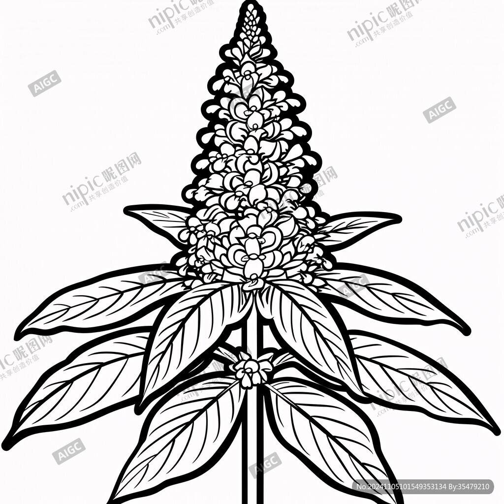 三七线描