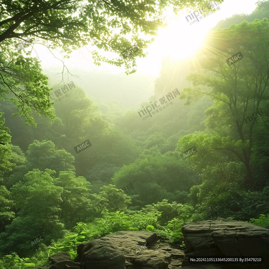 太行山的清晨