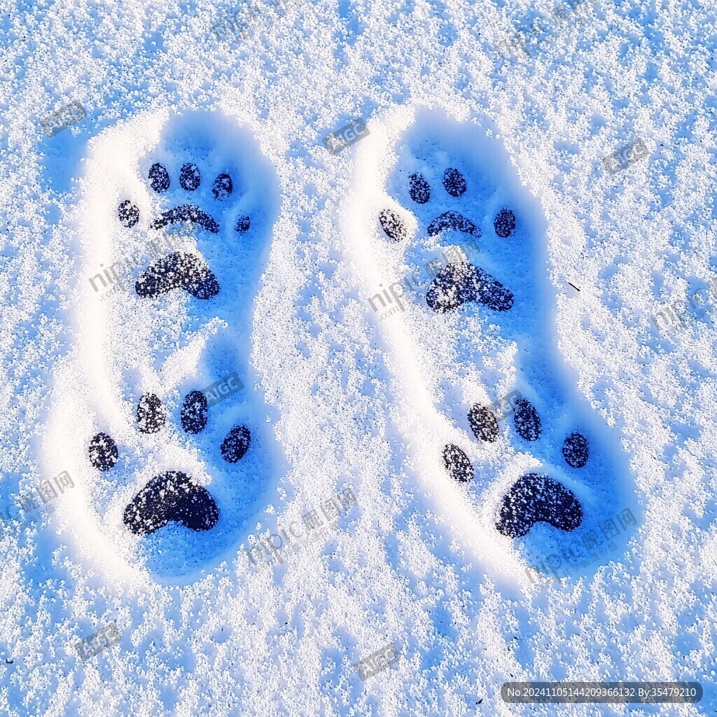 雪中足印