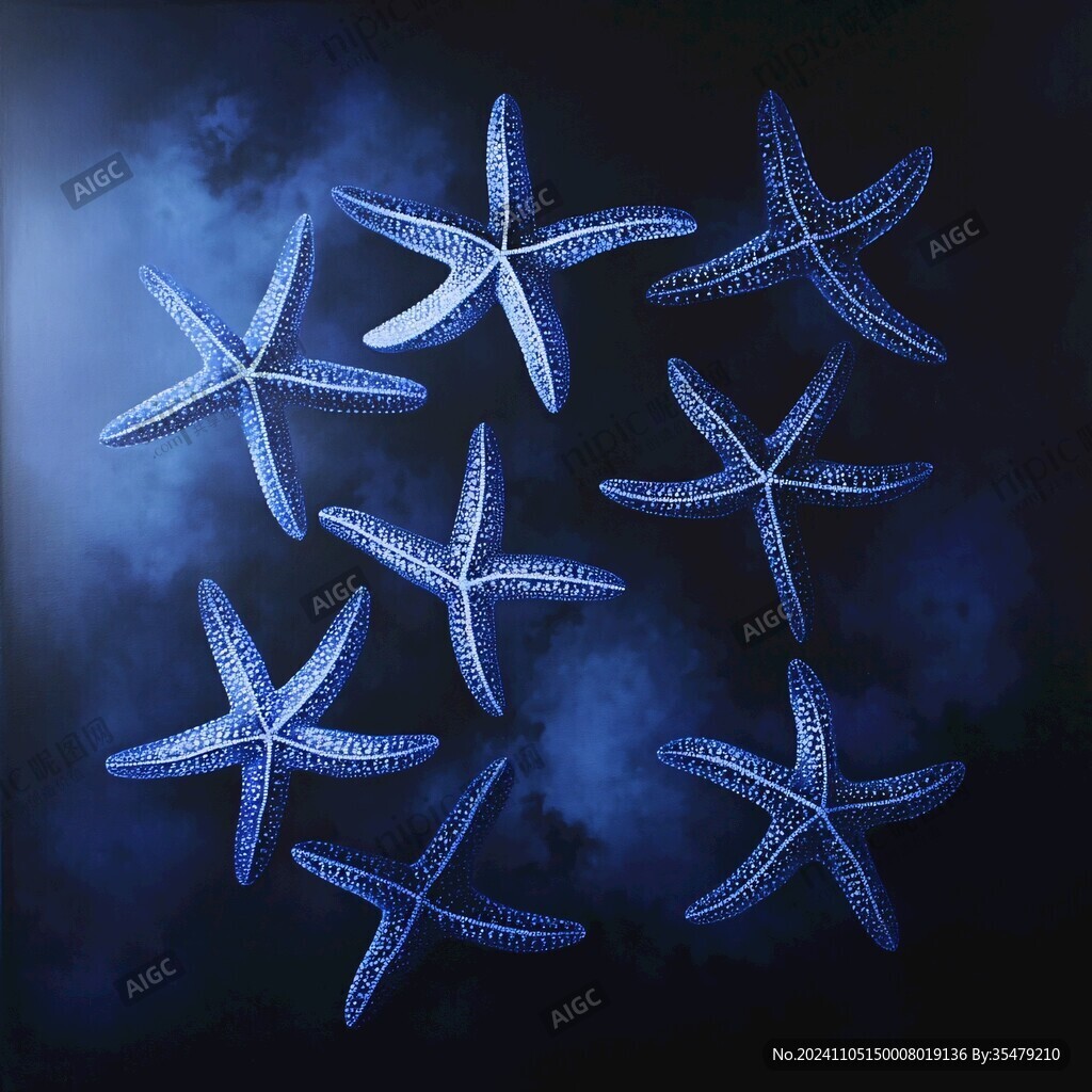 海星插画