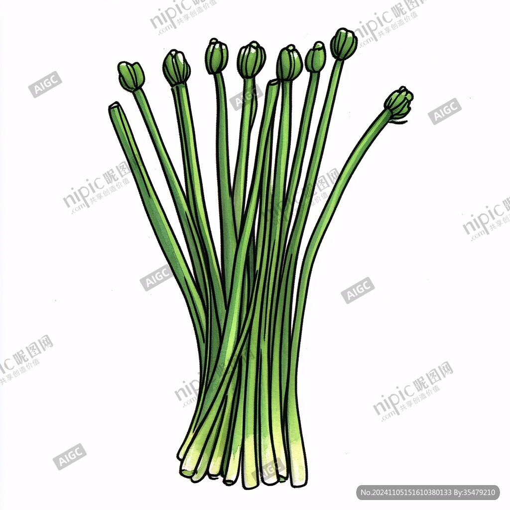 大葱简笔画