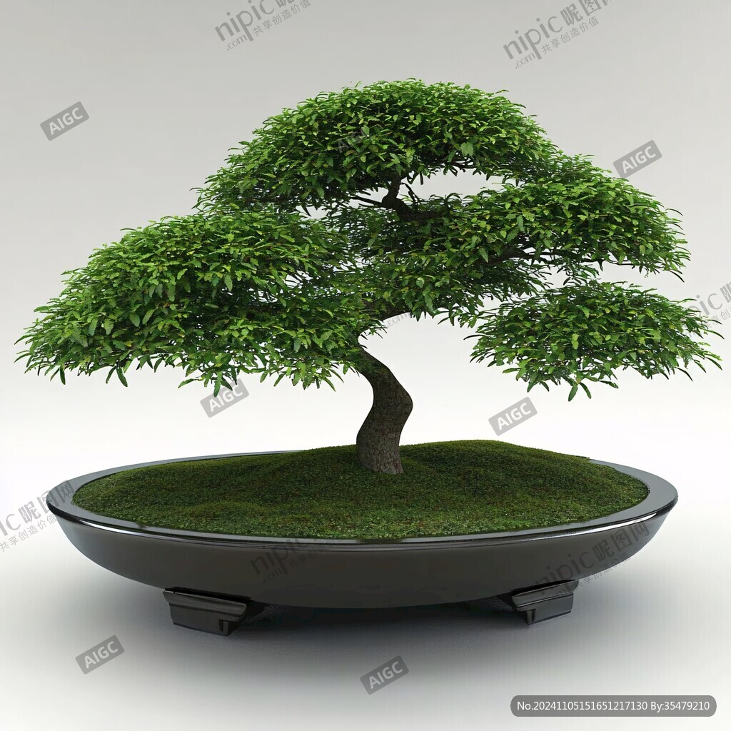 盆景图片素材下载