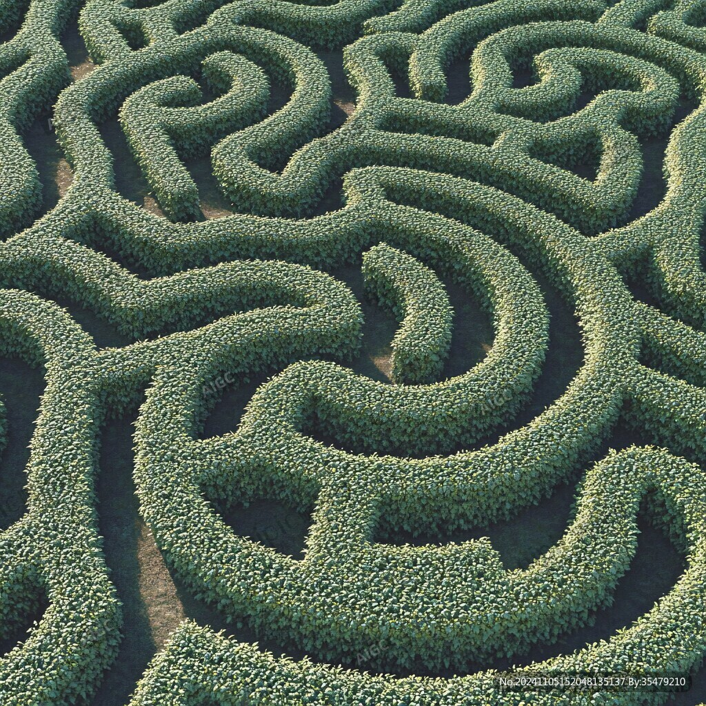 树篱迷宫