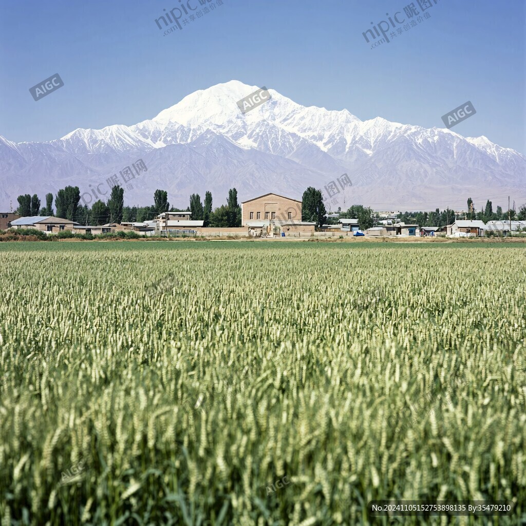 麦田高山雪山