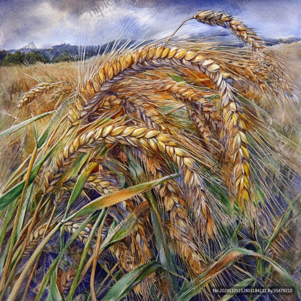 小麦壁画