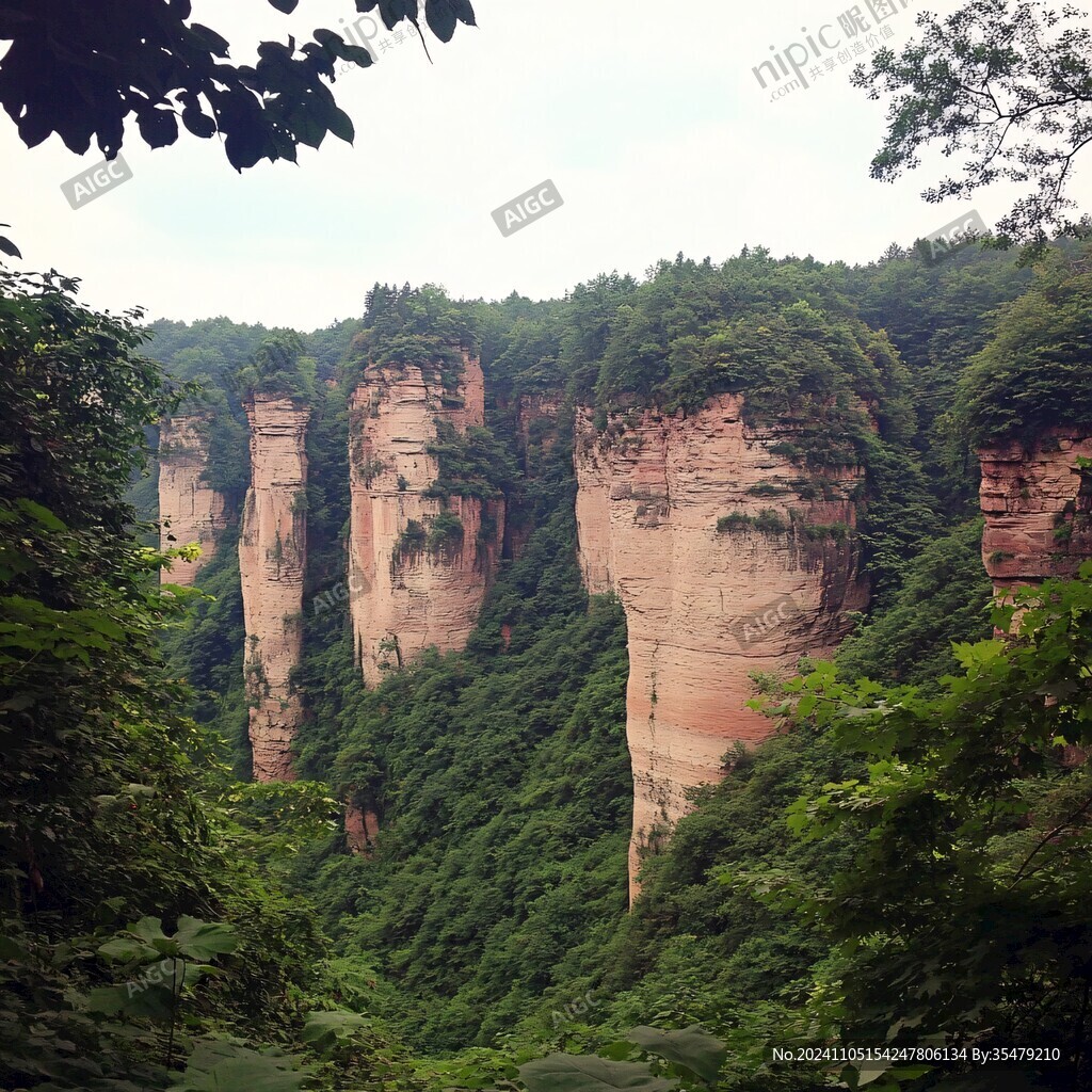 金鞭溪峡谷