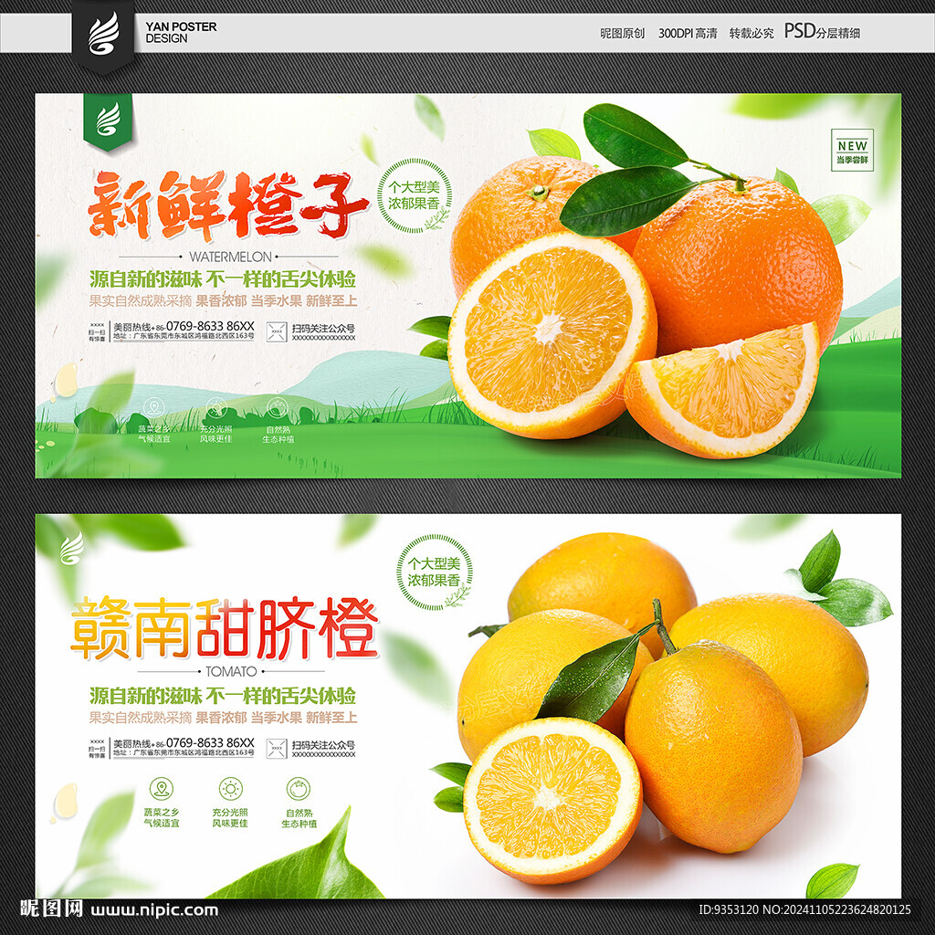 橙子