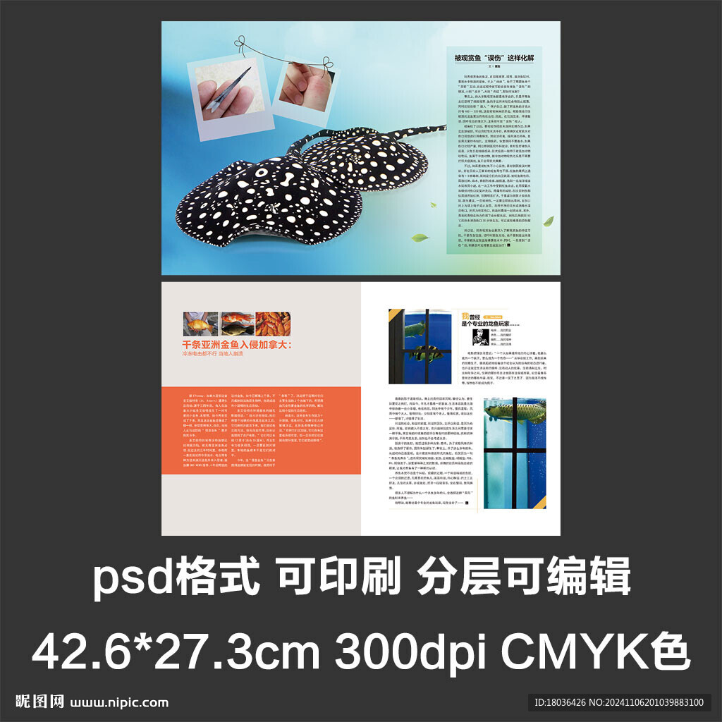 画册型录产品简介宣传册排版设计