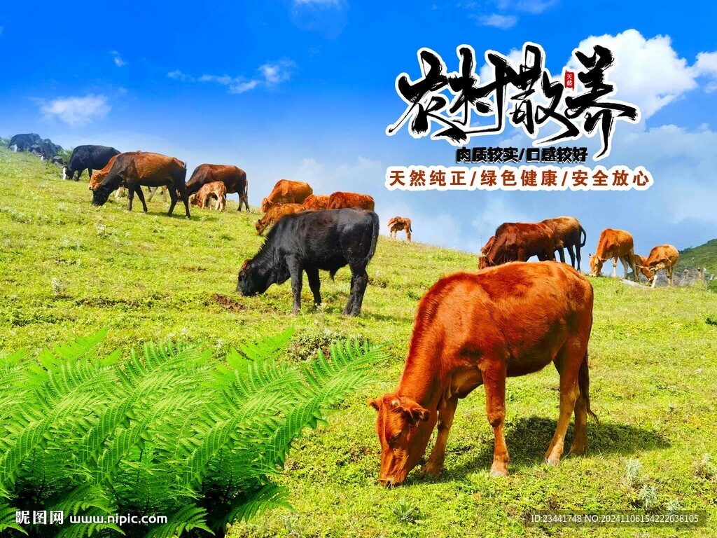 黄牛海报