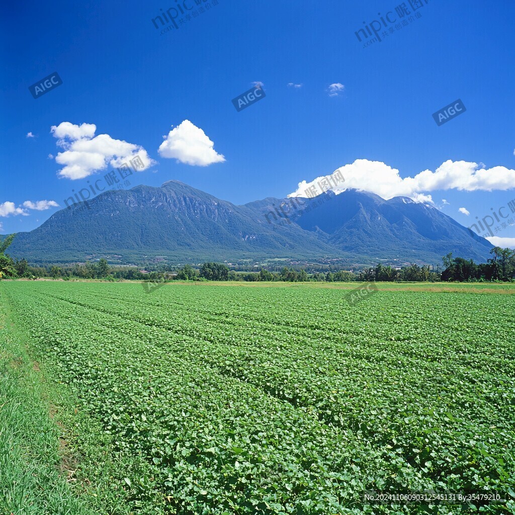 小岩井农场