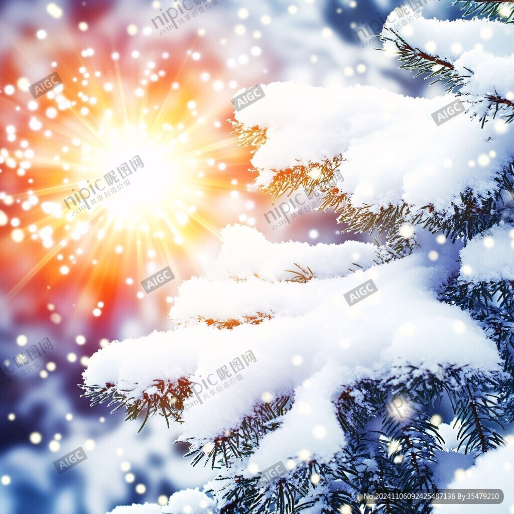 落雪的松树枝
