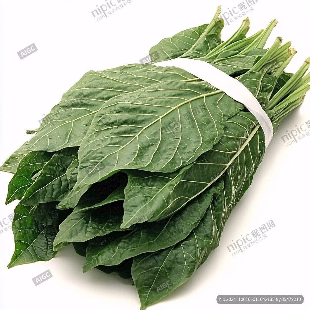 菠菜图片素材