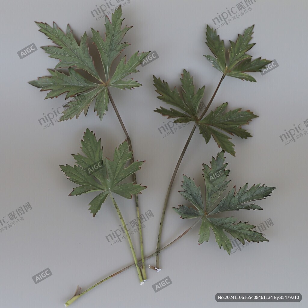 3dmax植物